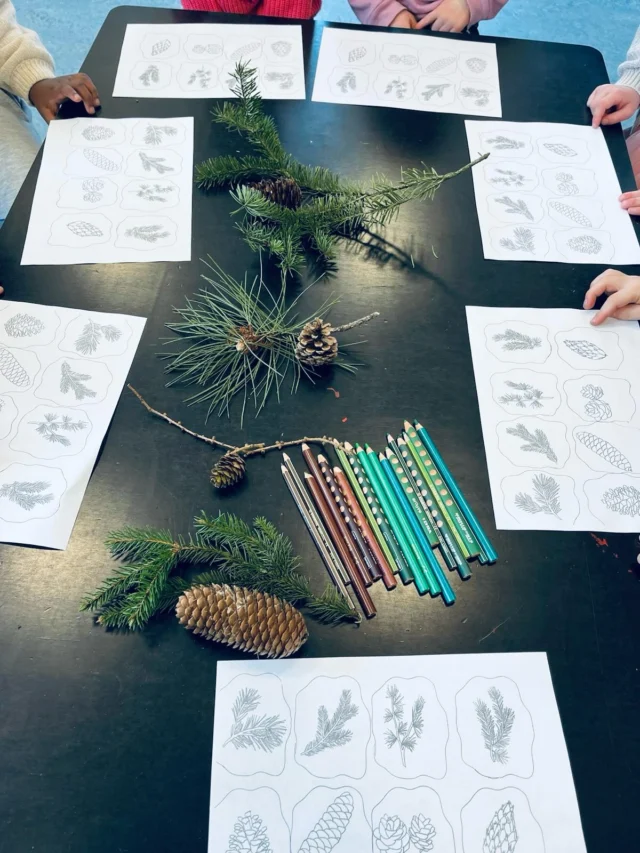 „Es liegt kein #tannenzapfen auf dem Waldboden“ ! 🌲
Unsere @caroly.k hat heute mit den Kindern der @froebel.deutschland Kita Hamburg Wilhelmsburg Zapfen bestimmt und ein tolles Memory gebastelt 🌲🫶🏻💚. Außerdem schmückt jetzt ein Zapfen Mobile die Kita. 

#fichtenzapfen 
#kiefernzapfen 
#douglasienzapfen