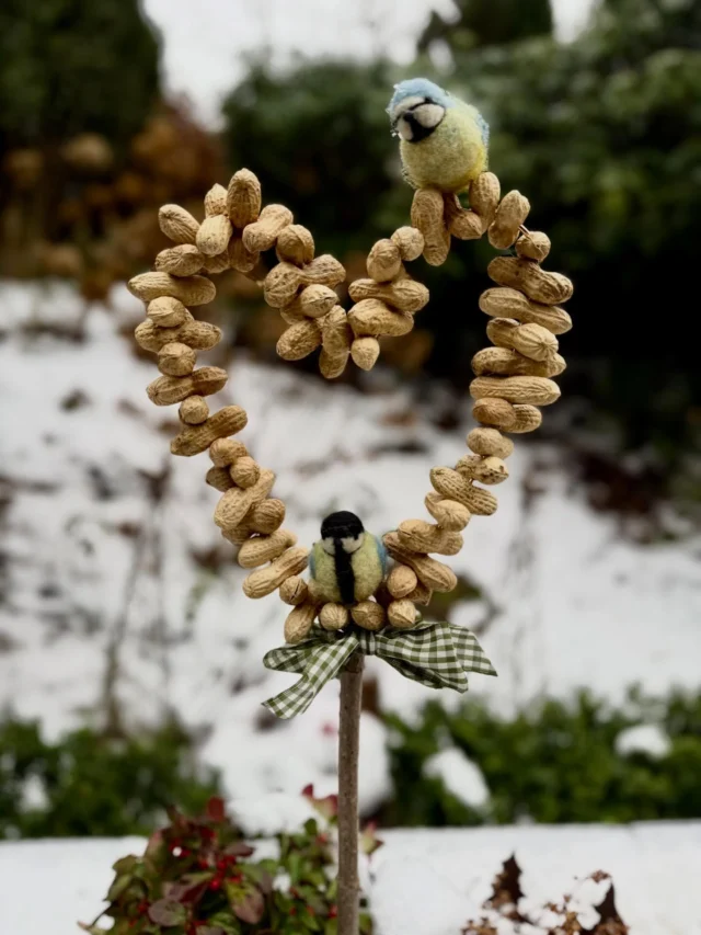 „Aus Liebe zu den #meisen “ - so starten wir in die #valentinswoche . 

Ein Futterherz aus #erdnüsse . Die Anleitung findet ihr bei @kindwaldundwiese ❣️

#mitliebegemacht❤️ #naturliebe 
(Unbezahlte Werbung)