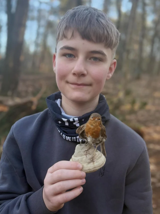 🧡🤎Wir haben heute 12 Schülern der Wald AG - in der Brut- und Setzzeit - Wissenswertes über das Rotkehlchen erzählt. 🧡🤎
Wusstet ihr, dass Rotkehlchen weniger scheu sind als andere Singvögel? Ein Rotkehlchen kam Netti gestern bei der Gartenarbeit sehr nah - sie sind auf der Suche nach Würmern . 🪱🐛 . 
Das leuchtend orangerote Gesicht und Brustfeld sind einzigartig unter den heimischen Singvögeln.
#rotkehlchen #brutundsetzzeit #wildnispädagogik #waldpädagogin #naturkind