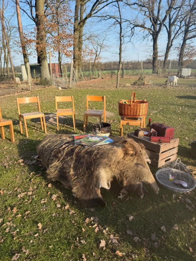 🐗💚Ein wilder Nachmittag bei Luisa und ihrer Rasselbande @draussen.vielfalt 
Draußen sein - Lernen, Vorlesen, Schnitzen und Kochen... 💚🐗

„7 Kinder & das Wildschwein“

Der ortsansässige Jäger Roland hat den Kindern sehr anschaulich erklärt wie das Wildschein lebt, wie die Körperteile auf Jägersprache bezeichnet werden, was eine Suhle ist, wie die Zähne aussehen, was es mit Maggie und Buchenholzteer auf sich hat, was die Fährte besonders macht (Geäfter) und warum die Jäger Wildschweine jagen. 

Begleitet wurde Roland von seinem  Bayerischen Gebirgsschweißhund Konrad. 

Nach dem „Wild-Unterricht“ wurde Gemüse der Saison geschnippelt, der Rückenstrang eines Wildschweins in Gulasch Würfel geschnitten und ein köstlicher „Wilder Eintopf“ über dem Feuer gekocht. Während des Köchelns haben die Kinder kleine Wildschweine geschnitzt. 

Vielen Dank, liebe Luisa, dass ich dabei sein durfte.🐗 Du hast einen wunderbaren Nachmittag für die Kinder gestaltet 🐗🫶🏻
#wildschwein 
#wildschweinjagd 
#wildschweinrücken 
#draußenkochen 
#jägerkind