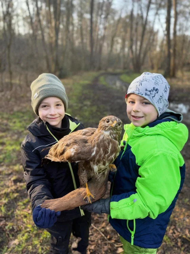 „Emil und die Falknerin“ Heute waren wir mit 16 Schülern einer 1. Klasse in der Natur. 

Unser Thema heute: Greifvögel & Falknerei. 

Mit perfektem Lehrmaterial hat uns @elisabeth.leix vom @falkenorden DFO- Deutscher Falkenorden e.V. und die @djv_shop ausgestattet. 
Die Kinder haben verschiedene Greifvögel wie #habicht , #bussard , #sperber , #rotmilan und #falken kennen gelernt und gemalt. 

Die Geschichte „Emil und die Falknerin“ vermittelt Kindern ganz wunderbar die spannende Arbeit einer Falknerin. Dieses Büchlein können wir sehr empfehlen 🦅

(Unbezahlte Werbung)