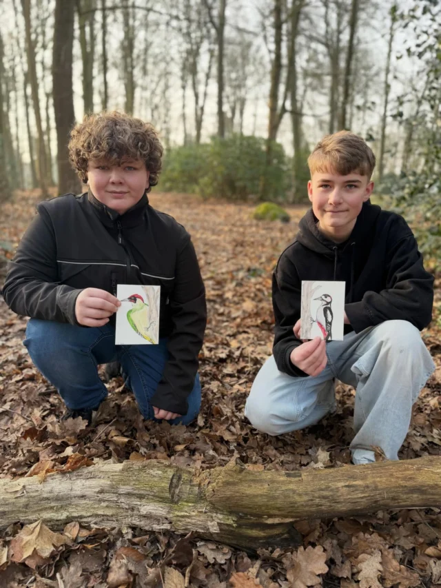 🪵Totholz & Habitatbaum🪳🕷️🦟🪾🪵🌲

Totholz bezeichnet abgestorbenes Holz von Bäumen oder Sträuchern, das im Wald verbleibt. Es kann entweder noch stehen (Habitatbaum) oder bereits am Boden liegen (Totholzhaufen). 

Netti hat mit 13 Schülern (12 Jahre alt) der Wald AG besprochen, warum Totholz wichtig ist! Caroly hat in der @froebel.deutschland Kita Spechte gebastelt und erklärt, was ein Habitatbaum ist. 

Totholz ist kein „Abfall“, sondern ein zentraler Bestandteil eines natürlichen Waldes:
Totholz ist Lebensraum für viele Tierarten (z. B. Insekten, Pilze, Moose, Vögel wie Spechte)
Totholz sorgt für Artenvielfalt: Viele seltene Käferarten sind auf morsches Holz spezialisiert
Nährstoffkreislauf: Beim Zersetzen von Totholz werden Nährstoffe wieder in den Boden abgegeben
Bodenverbesserung: Speichert Wasser und trägt zur Humusbildung bei. 
#totholz #habitatbaum #waldboden #draußenlernen #naturkind 

(unbezahlte Werbung)
(Quelle: ChatGPT)