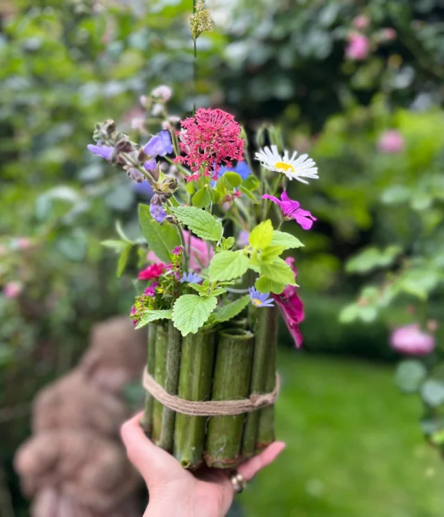 Nettis „Neophyt“ Vase & ein Crumble mit 🍓und „Knöterich Rhabarber“ 💚♥️

Wir haben japanischen Staudenknöterich entdeckt. Kurzerhand haben wir geerntet, gekocht und gebastelt. Es ist eine tolle Vase und ein leckerer Crumble entstanden. 

Wissenswertes:
Wie Rotwein enthält der Japanische Staudenknöterich antioxidativ wirkendes Reservatrol, damit schützt er das Herz und die Blutgefäße, stärkt das Immunsystem und bekämpft Krebszellen.

Schon seit vielen Jahrhunderten werden die jungen Triebe des Japanischen Staudenknöterichs in der ostasiatischen Küche zu pikanten sowie süßen Gerichten verarbeitet. Der Geschmack ähnelt dabei dem des Rhabarbers. Die jungen Knöterichsprossen können ab April bis Oktober geerntet werden und sind sowohl roh als auch gedünstet zum Verzehr geeignet.

Die meisten kennen den japanischen Knöterich nur als sich schnell verbreitendes Riesenunkraut. Man sollte ihn wirklich auf keinen Fall anpflanzen, der invasive Neophyt breitet sich unheimlich schnell aus, verdrängt einheimische Pflanzen und ist nur schwer bis unmöglich wieder los zu werden! 
#japanischerstaudenknöterich #neophyt #kreativmitkindern #vasebasteln #crumble 

(Quelle: Netzfund)