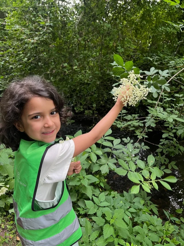 Caroly, die Vorschulkinder der @froebel.deutschland Kita Langenhorn und die Holunderblüte.

Die Kinder haben heute die Holunderblüten entdeckt und probiert. Diese besondere Pflanze steckt voller Kraft und kann auf viele verschiedene Arten zubereitet werden. Die duftenden Blüten haben die Kinder genau betrachtet, gemalt, eine erfrischende Limonade getrunken und einen Holunderblütenhonig gemischt.

Wusstet ihr, dass die Blüte des Holunders ein Anzeiger für den Frühsommer ist?

#holunder #naturerleben #frühsommer #waldpädagogik #naturkind