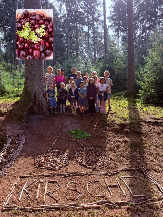 Sommerferien Programm für die Kinder der Mitarbeiter der @waldklinik.jesteburg und Monty 🤎🐻- Tag 9: 

🍒❤️Die Mini Rüsselkäfer, 🍒 Kirschen & Mädesüß und wilde Bratwurst❤️🍒

Heute haben die Kinder saisonales Obst 🍒 und Nettis liebstes Wildkraut - Mädesüß - verarbeitet. 

❤️Mit den Jahreszeiten leben, jährliche Herrlichkeiten ernten und verarbeiten. 

Wir haben heute Kirschen entkernt und ein Kompott gekocht. Verfeinert haben wir es mit dem wunderbar aromatischen Mädesüß. Ein Zauber aus Mandel, Vanille und Honig. 
Den Mädesüß Sirup haben wir vor 4 Tagen gemacht, den Kirsch-Ketchup im Juni. 
Zum Mittag gab es Hotdog mit Wildbratwurst „Käse-Krakauer“ und Kirsch-Ketchup ❤️🍒
Danke an unseren Lieblingskollegen und Revierjagdmeister/Betriebsleiter @stiftungwaldundwild -Vorpommern Hans-Kristian Siek❣️🐗

#kirsche #mädesüß #kirschernte #saisonal #wildbratwurst