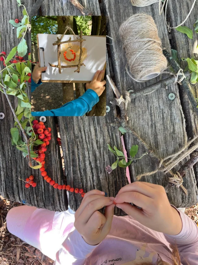 ❤️🧡🌿Sind bei euch auch die Vogelbeeren (auch Eberesche genannt) reif?
In der letzten Woche war Caroly in einer Hamburger Kita. Mit 6 Vorschulkindern hat sie wunderschöne kleine Kunstwerke aus den Beeren gebastelt. ❤️🧡🌿

Wusstet ihr, dass Vogelbeeren essbar sind? Allerdings sollten die Beeren der gewöhnlichen Eberesche nicht roh in größeren Mengen verzehrt werden. Sie enthalten Parasorbinsäure, die bitter schmeckt und bei größeren Mengen Magen-Darm-Beschwerden wie Übelkeit, Erbrechen oder Durchfall verursachen kann.
Durch Erhitzen bzw. Kochen wird die Parasorbinsäure in gut verträgliche Sorbinsäure umgewandelt – danach können die Beeren zum Beispiel zu Gelee, Marmelade oder Kompott verarbeitet werden. ❤️🌿🧡

#eberesche #vogelbeere #naturpädagogik #naturerleben #naturkinder