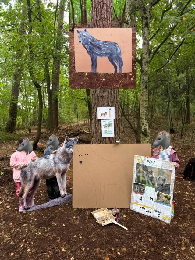 Heute hat Netti die Schüler einer 1. Klasse kennengelernt 🫶🏻 - die „Wolf Klasse“ 🐺🐺🐺🐺🐺 der @waldschule.buchholz #buchholzindernordheide 
Insgesamt werden 4 erste Klassen 6 mal im Jahr mit Netti in den Wald gehen. Gerade noch im Kindergarten und jetzt schon in der Waldschule. 🥰🌳🌲

16 kleine „Wölfe“ haben gemeinsam mit Netti ein Kunstwerk für das Klassenzimmer gemalt und anhand des tollen Plakats vom @djv_shop die Lebensweise des Wolfes kennen gelernt 🐺
#wolf #wildtiere #waldpädagogik #grundschule

(Unbezahlte Werbung)