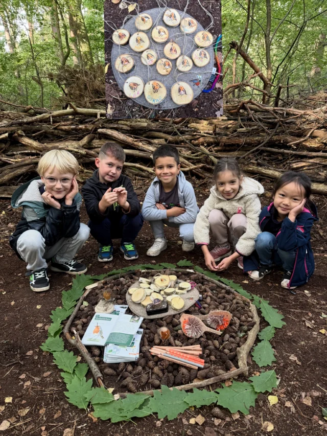 Heute hat Netti die Schüler einer 1. Klasse kennengelernt 🫶🏻 - die „Rotkehlchen Klasse“ der @waldschule.buchholz 🧡🤍🩶. 

Insgesamt werden 4 erste Klassen 6 mal im Jahr mit Netti in den Wald gehen. Gerade noch im Kindergarten und jetzt schon in der Waldschule. 🥰🌳🌲

16 kleine „Rotkehlchen“ haben heute der Lebensweise des Rotkehlchens gelauscht….

Wusstet ihr, 
🧡🤍🩶👉das es besonders schön und oft schon früh am Morgen singt? 
🧡🤍🩶👉, dass Rotkehlchen mutig und neugierig sind und manchmal den Menschen ganz nah kommt? 
🧡🤍🩶👉, dass sie gerne Würmer, Insekten und Beeren fressen ?
🧡🤍🩶👉, dass sie ihr Nest gern und gut versteckt in Hecken oder kleinen Höhlen bauen? Sie sind Halbhöhlenbrüter. 
🧡🤍🩶👉, dass Männchen und Weibchen fast gleich aussehen?
#rotkehlchen #grundschule #naturkind #waldpädagogik #draußen 

(Unbezahlte Werbung)
