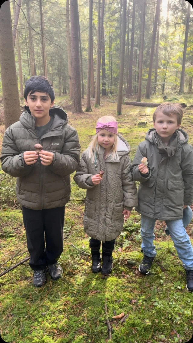 #pilzesammeln #birkenpilz #marone #steinpilz #kinderindernatur