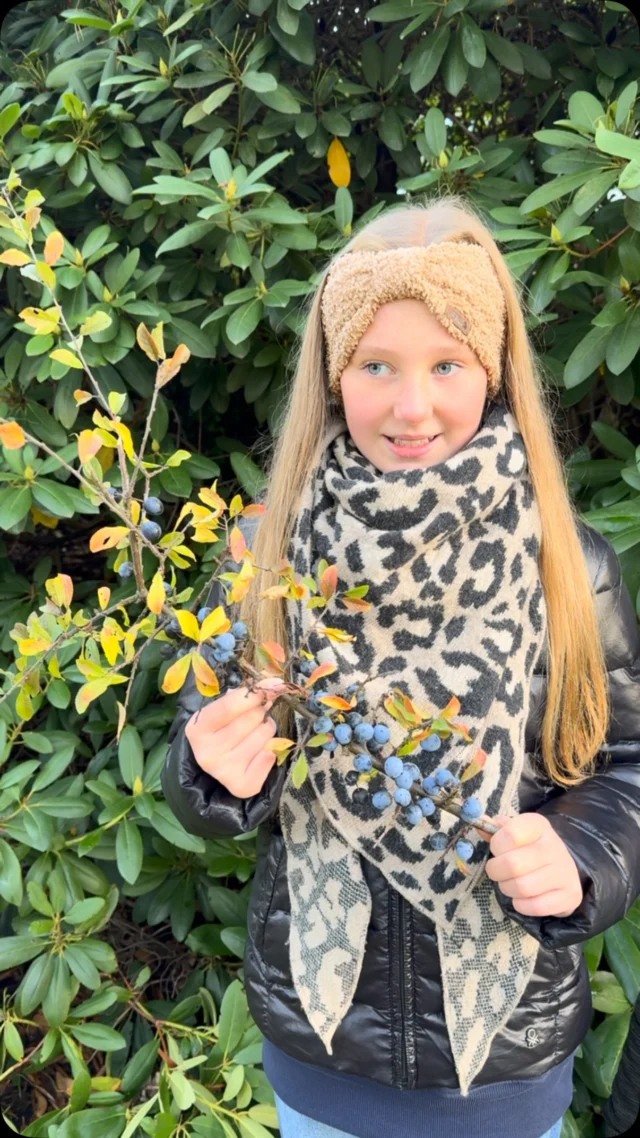 #schlehe #herbstzeit #früchte #herbstliebe #naturkind 💙