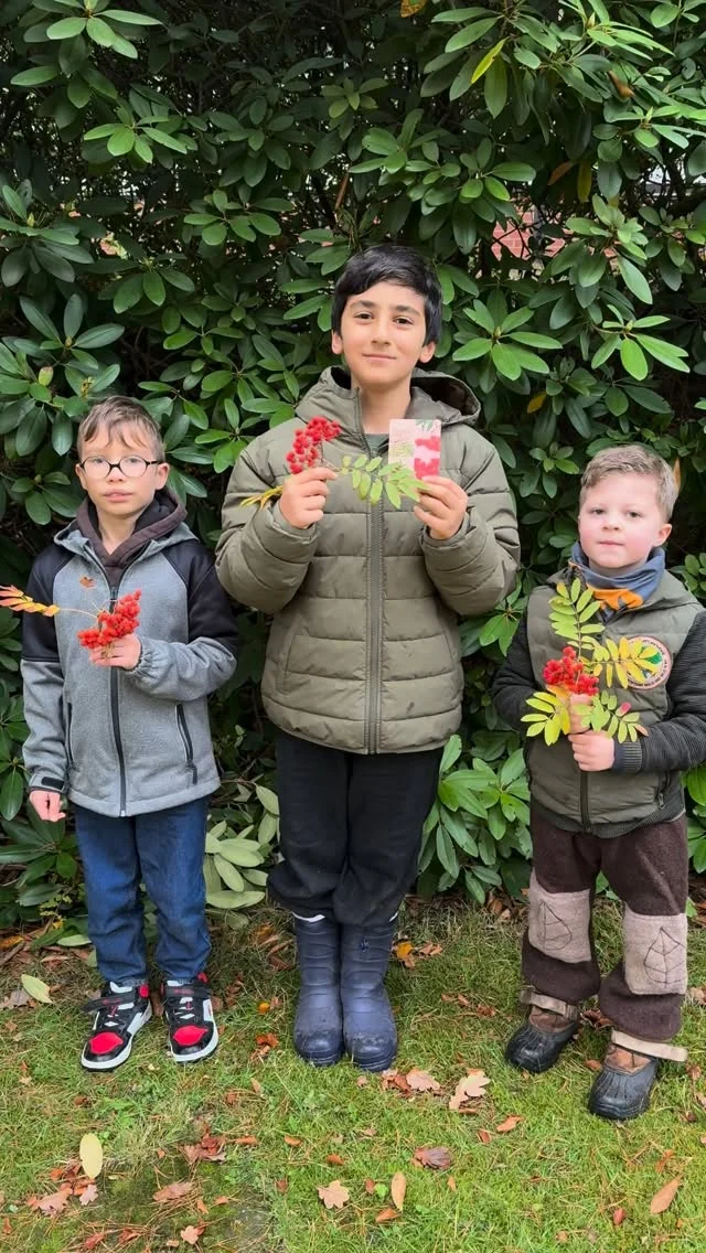 #vogelbeeren #eberesche #herbstliebe #essbarenatur #naturkind ❤️🧡