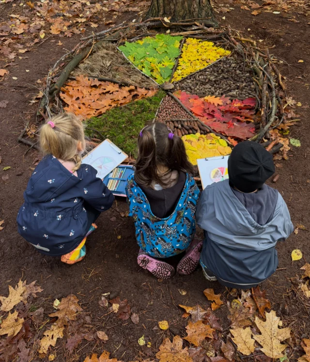 🌳 Ein Waldkuchen voller Herbstzauber! 🎂🍁

Heute wurde der Wald zur Backstube! 🌲

Gemeinsam mit 16 Kindern einer 1. Klasse haben wir einen bunten Waldkuchen aus verschiedenen Naturmaterialien gestaltet.  @waldschule.buchholz 

Unsere Zutaten: Grüne, gelbe und rote Blätter der Roteiche, RotEicheln, Kiefern- und Fichtenzapfen, Kiefernnadeln, Moos, Feldahornblätter, Traubenkirschenblätter und sogar ein Baumpilz. 🍄🌰

Dabei konnten die Kinder spielerisch die Natur mit allen Sinnen erleben, Materialien fühlen, Farben und Formen entdecken und ihrer Kreativität freien Lauf lassen. 💚

✨ Entdecken, fühlen, staunen – so macht Lernen in der Natur Spaß! 🌿

#waldpädagogik #naturpädagogik #naturkind #herbstliebe #naturmitallensinnen