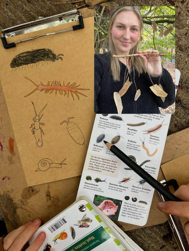 🌳🔍 Auf der Suche nach den Perlen des Waldes! 🍂✨

Wer hätte gedacht, dass sich direkt unter unseren Füßen so viele kleine Schätze verstecken? 🐛💚

Gemeinsam mit den Kindern einer Hamburger Kita ging @caroly.k auf spannende Entdeckungsreise durch den Wald. 🌲 Unter Laub, morschen Baumstämmen und im Totholz wurde geforscht, gestaunt und so manches winzige Lebewesen entdeckt! 🔎

🍂 Die Perlen des Waldes sind echte kleine Superhelden! Sie sind die Gärtner und die Müllabfuhr des Waldes. 🦸‍♀️🌱 Sie zersetzen abgestorbene Pflanzenreste, helfen bei der Entstehung von wertvollem Humus und sind gleichzeitig eine wichtige Nahrungsquelle für viele Waldtiere. 🐦🦔

🎨 Natürlich durfte auch die Kreativität nicht fehlen! Die Kinder bastelten ein Mobile mit fünf besonderen Waldbewohnern:

🐛 Saftkugler
🍂 Rollassel
🪲 Gemeiner Ohrwurm
🐌 Glanzschnecke
🐛 Gemeiner Steinläufer

Mit neugierigen Augen, kleinen Forscherhänden und jeder Menge Begeisterung entdeckten die Kinder, wie viel Leben im Waldboden steckt. 💚

✨ Denn die größten Wunder der Natur sind manchmal die allerkleinsten! 🌿

💬 Und jetzt seid ihr dran: Welche kleinen Waldbewohner habt ihr schon einmal unter Laub oder Totholz entdeckt? 🍂🔍 Verratet es uns in den Kommentaren! 👇💚

#totholz #waldentdecker #naturkind #waldboden #bodenlebewesen