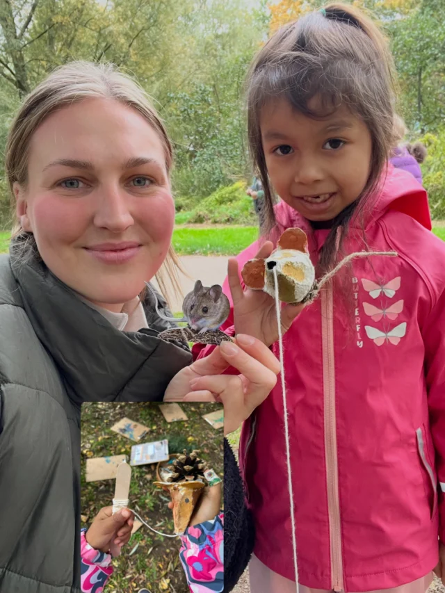 🐭🍂 Auf Mäusesuche in Wilhelmsburg! 🌰

Heute war @caroly.k mit den Kindern der @froebel.deutschland Kita im Reiherstieg im Park unterwegs. Gemeinsam haben wir uns auf die Suche nach Waldmaus, Hausmaus und Gelbhalsmaus gemacht. 🔍🐭

Auch wenn wir leider keine Mäusespuren entdecken konnten, gab es jede Menge Spannendes über die kleinen Nager zu erfahren! 🌿

🐭 Wusstet ihr schon?

🌰 Im Herbst sind Mäuse besonders fleißig und sammeln Vorräte für den Winter.

❄️ Mäuse halten keinen Winterschlaf! Bei großer Kälte können manche Arten ihre Aktivität und ihren Energieverbrauch reduzieren.

🌾 Auf ihrem Speiseplan stehen Samen, Nüsse, Beeren und Früchte, aber auch Insekten und Würmer.

🦉 In der Natur haben Mäuse viele Feinde: Eulen, Füchse, Marder und Katzen haben die kleinen Nager zum Fressen gern.

🎨 Und natürlich durfte auch das Basteln nicht fehlen! Jedes Kind durfte sich seine eigene Maus aussuchen und sie ganz individuell gestalten. 

Anschließend gingen die selbst gestalteten Mäuschen bei einem lustigen Mäusewettrennen an den Start! 🐭🏁💕 Die Kinder hatten riesigen Spaß und konnten gar nicht genug davon bekommen! 

Ein schöner Herbsttag voller Naturwissen, Kreativität und Spielspaß! 🍁🌿

#mäuse #maus #naturentdecken #naturmitkindern #herbstliebe